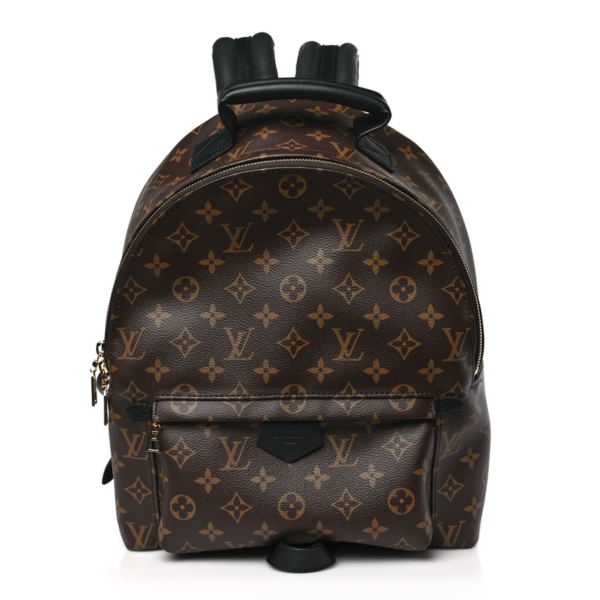 fake designer bags Louis Vuitton Monogram Palm Springs Backpack MM with Gold Hardware front